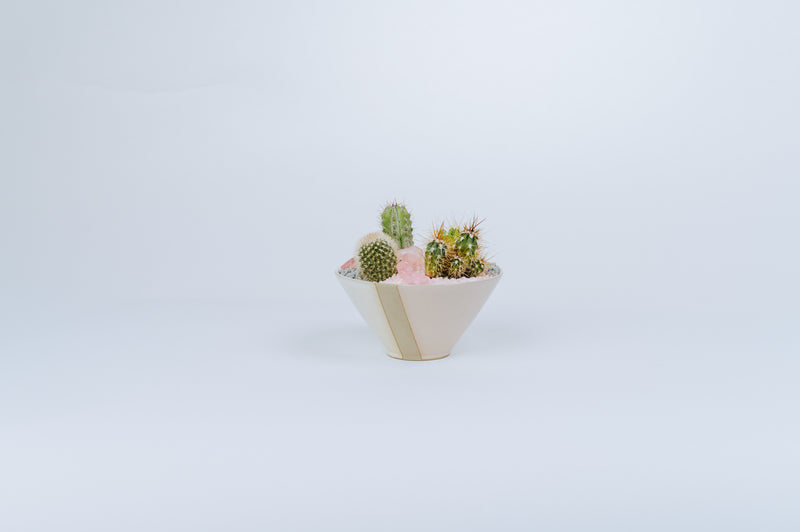 Medium Cactus Planter