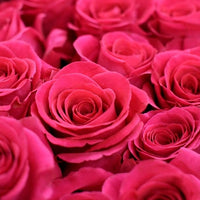 2 Dozen Roses in a vase