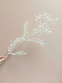 Bleached Italian Ruscus_Dried flowers_The Floral Fixx_The Floral Fixx