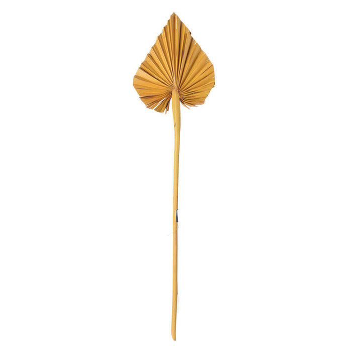 Metallic Gold Palm Spear_Dried flowers_Floral Fixx Design Studio_The Floral Fixx