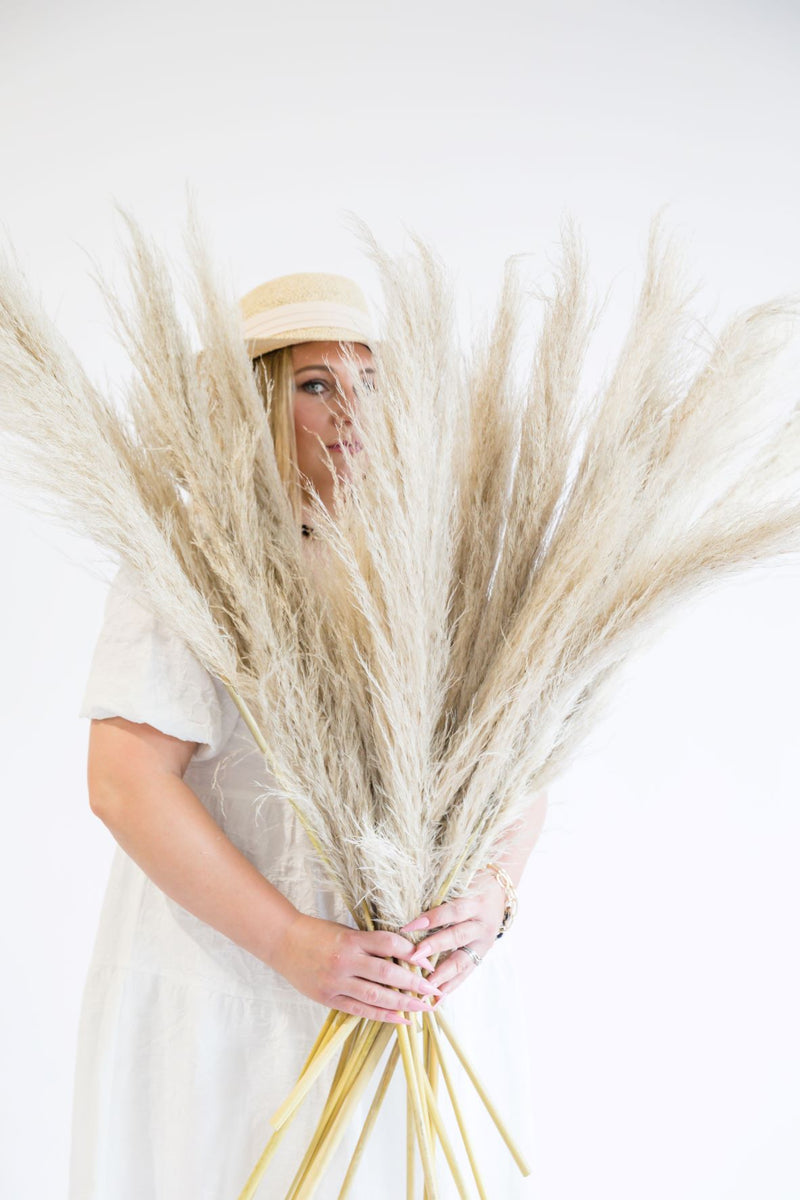 All About Pampas Grass and drides!