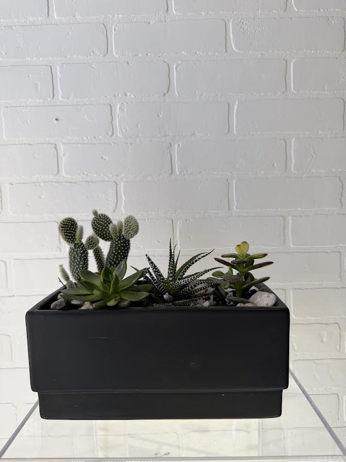 Desert Bloom Cactus Planter