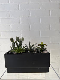 Desert Bloom Cactus Planter
