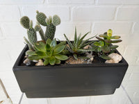 Desert Bloom Cactus Planter