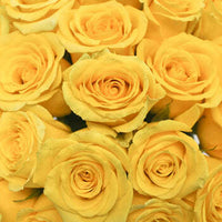 1 Dozen Rose Bouquet_Yellow_Flower Arrangement_Floral Fixx Design Studio_The Floral Fixx