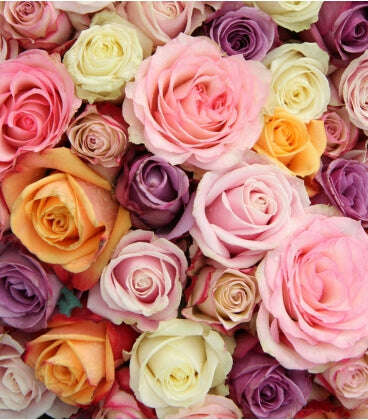 1 Dozen Rose Bouquet_Mixed_Flower Arrangement_Floral Fixx Design Studio_The Floral Fixx