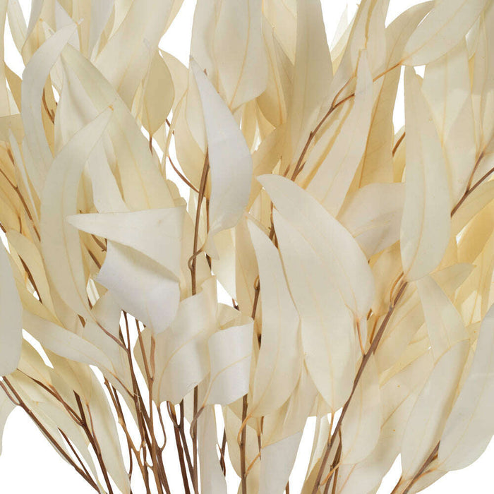 18" Bleached Willow Eucalyptus_Dried_Floral Fixx Design Studio_The Floral Fixx