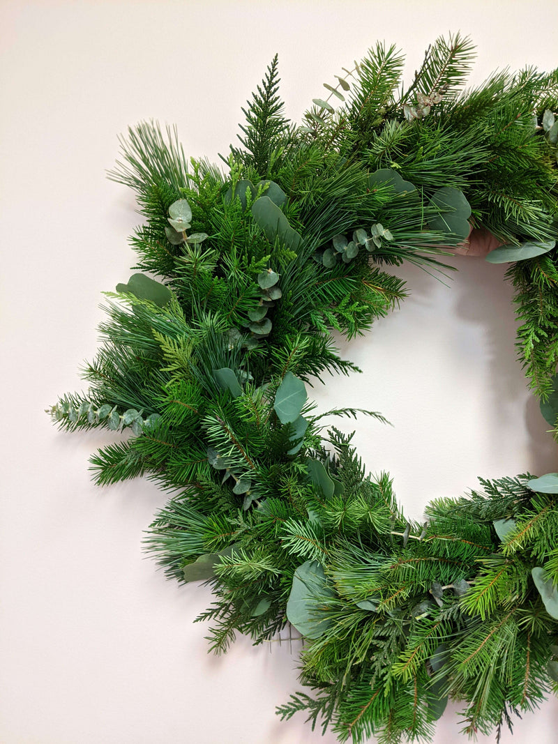 24" fresh evergreen wreath__The Floral Fixx_The Floral Fixx