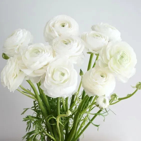 Baby's Breath Flower Crown