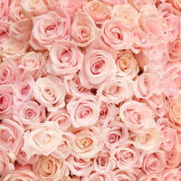 3 Dozen Roses in a vase_Soft Pink_Flower Arrangement_Floral Fixx Design Studio_The Floral Fixx