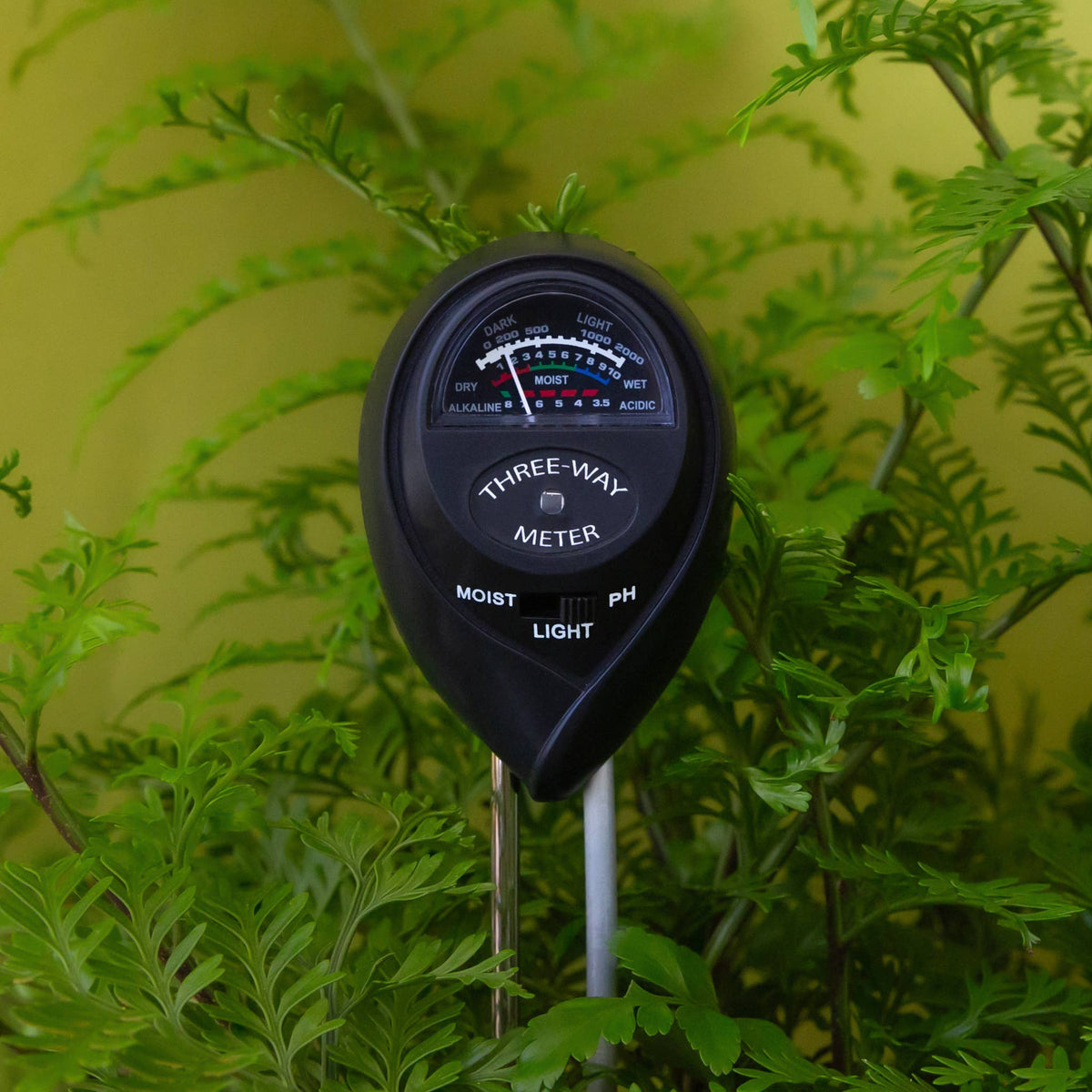 Jungle Club - 3-in-1 Moisture Meter | Black