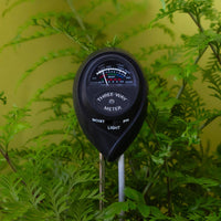 Jungle Club - 3-in-1 Moisture Meter | Black
