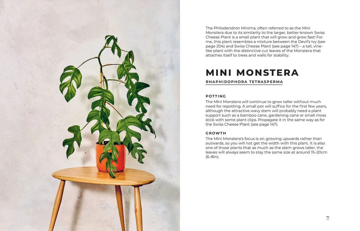 The Big Book of House Plants