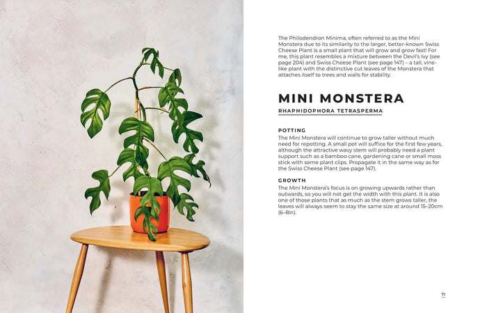 The Big Book of House Plants