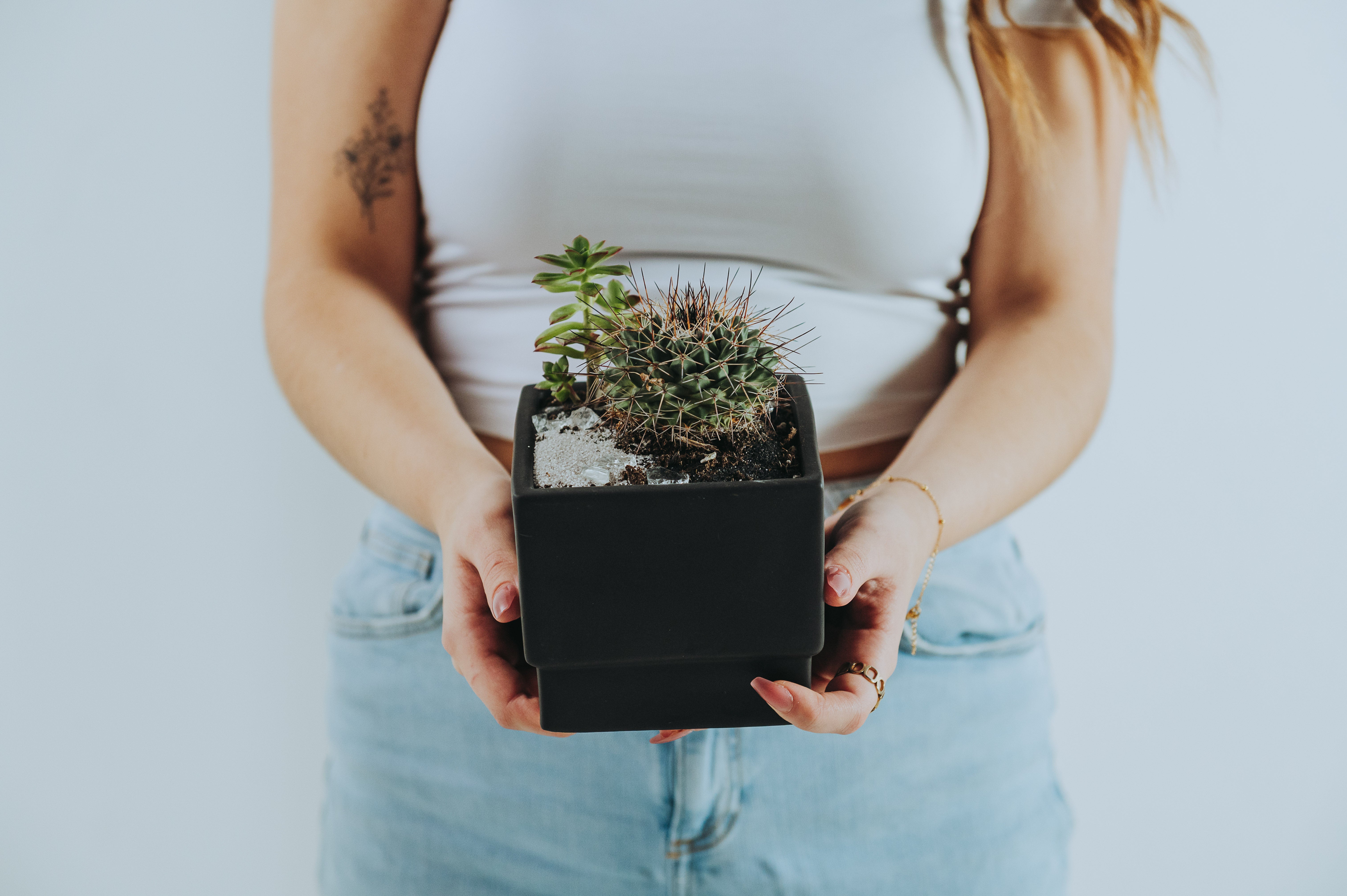 Orchids & Planters