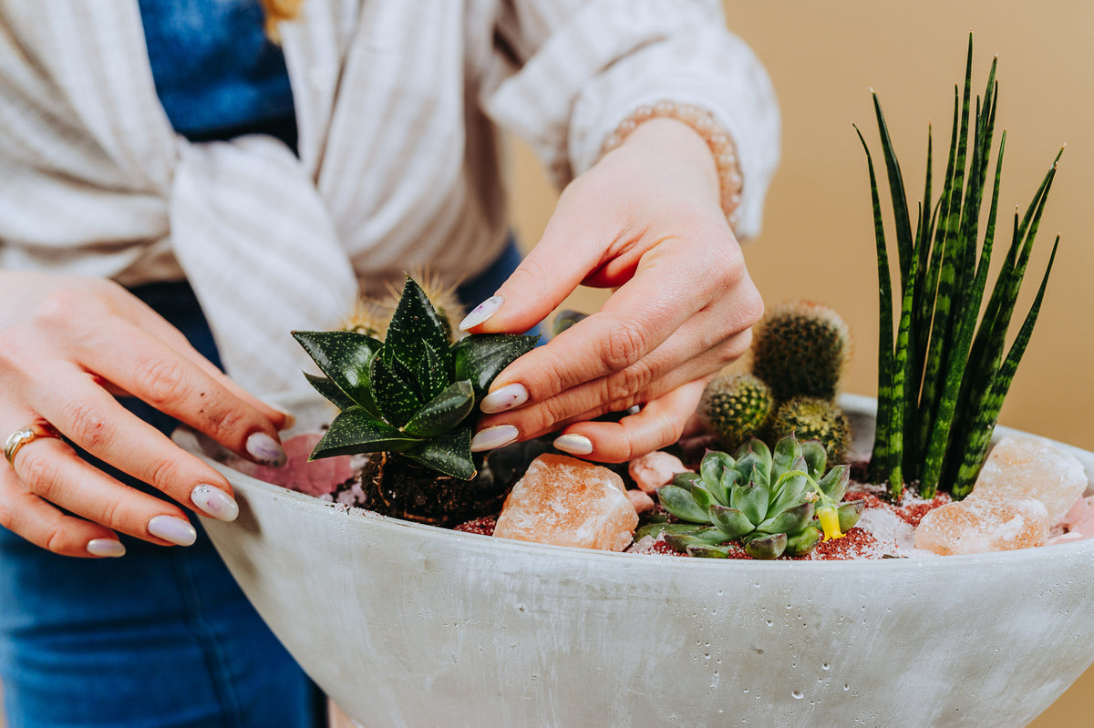 Succulent & Cacti Terrarium Workshop