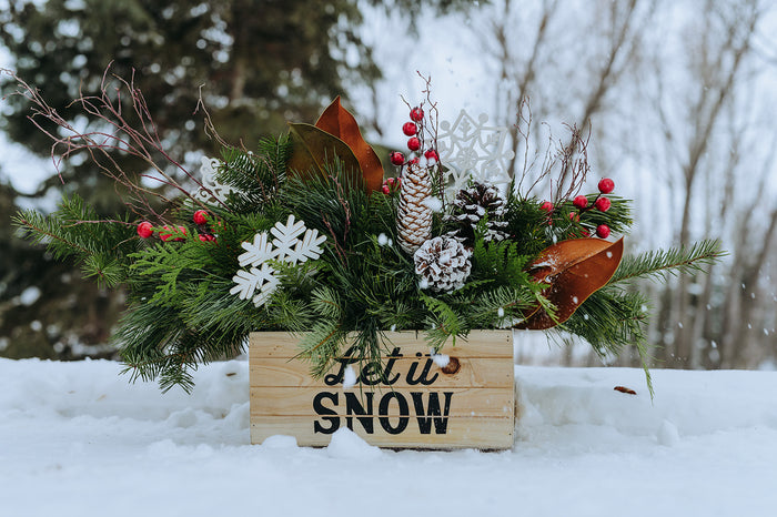 Let it Snow Arrangement