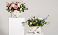 Pink Stompy Arrangement