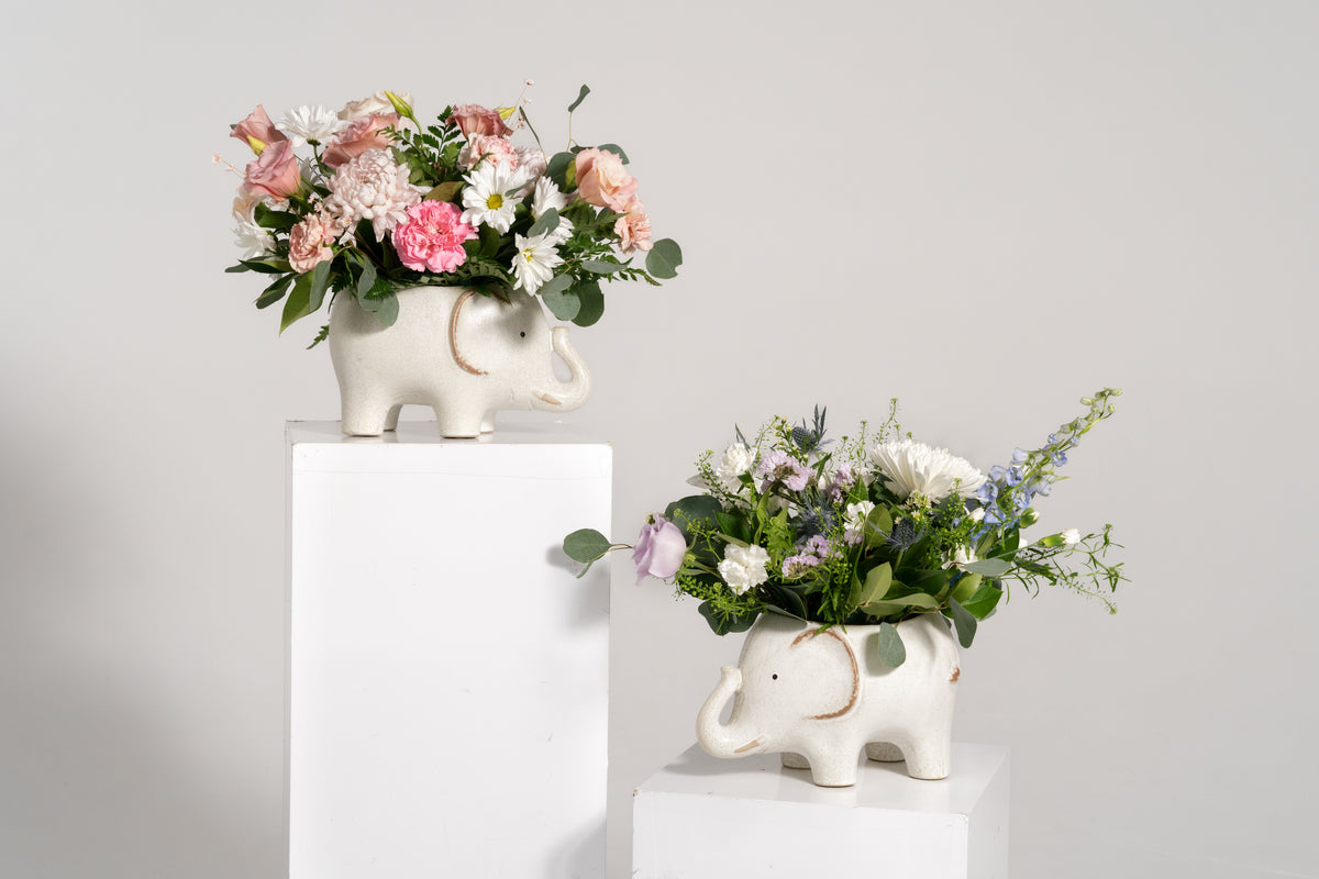 Blue Stompy Arrangement