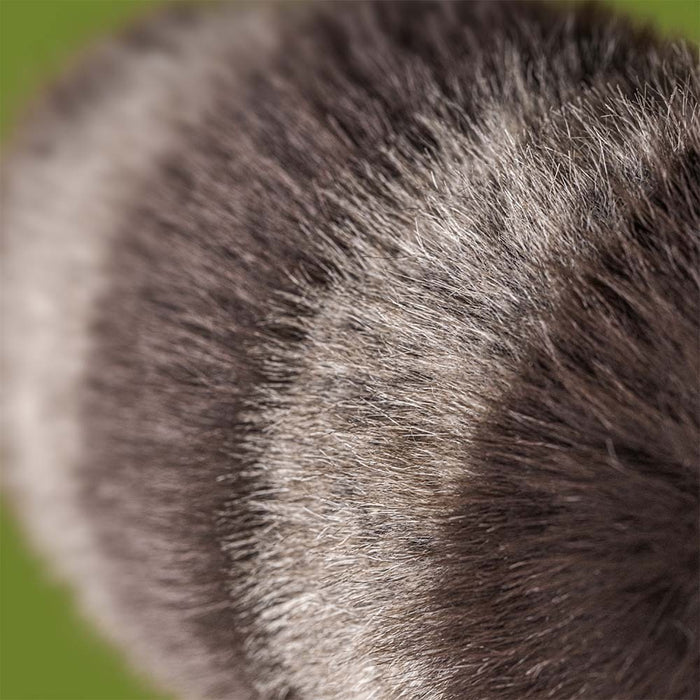 Jellycat - Trixiwoo Raccoon