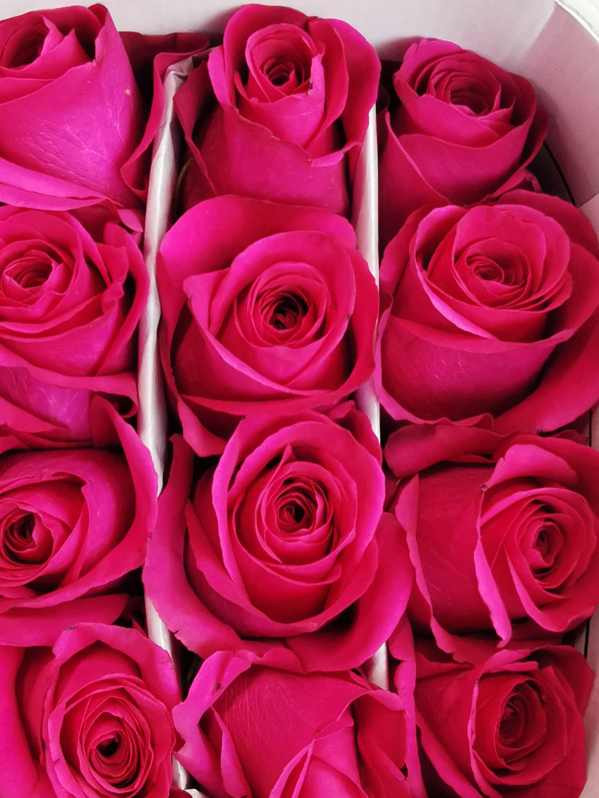 1 Dozen Rose Bouquet