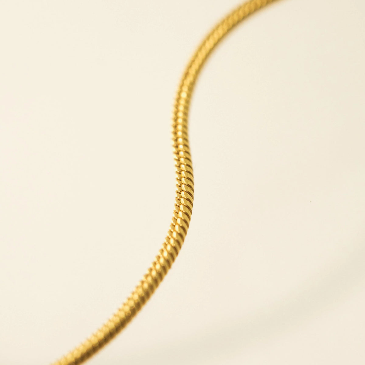 Lover's Tempo - Snake Chain Bracelet
