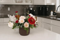 Cinnamon Arrangement