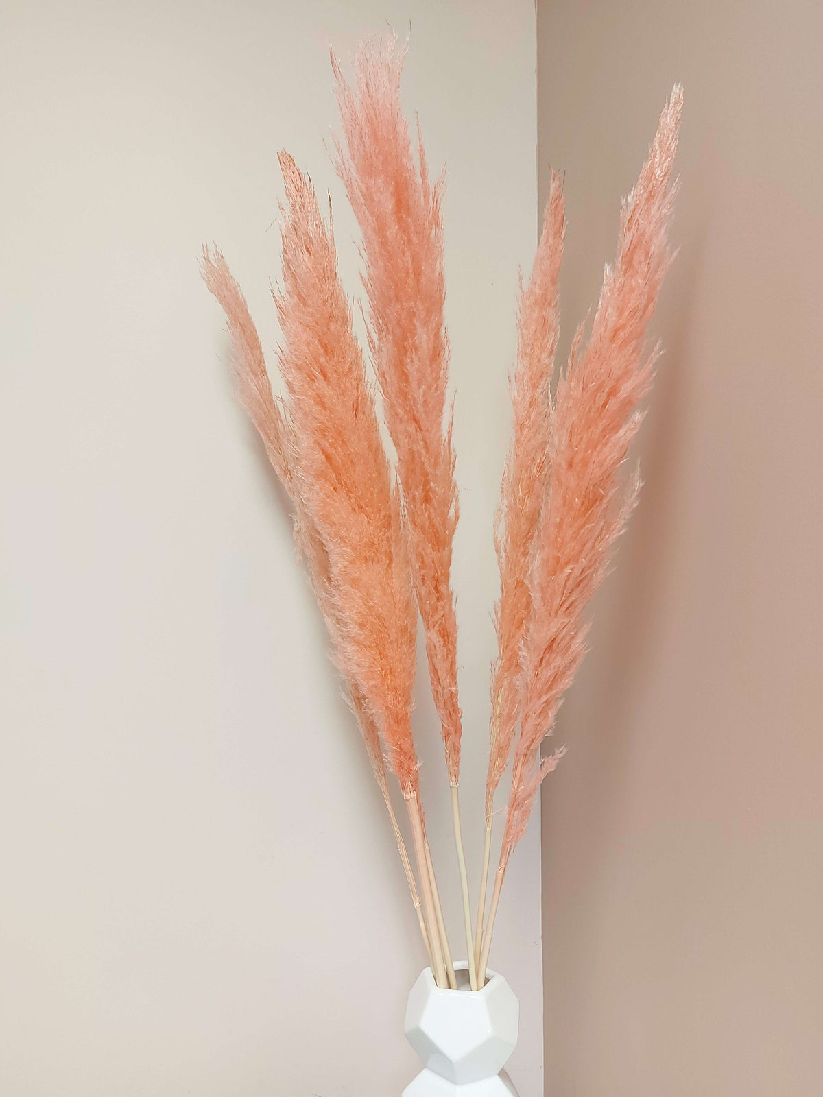 Blush Pampas Grass_Dried_The Floral Fixx_The Floral Fixx