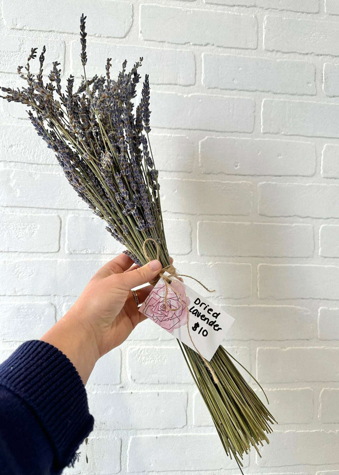 Dried Lavender Bouquet_Full Size_Dried Flowers_The Floral Fixx_The Floral Fixx