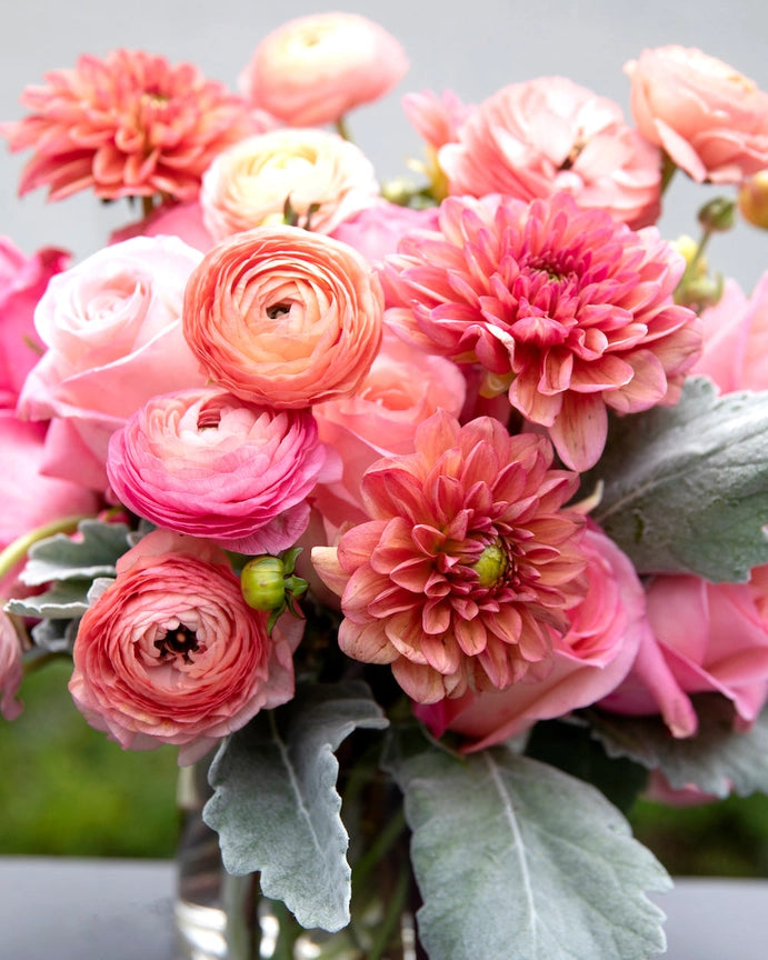 Blushing Blooms - Pink Picasso Kits