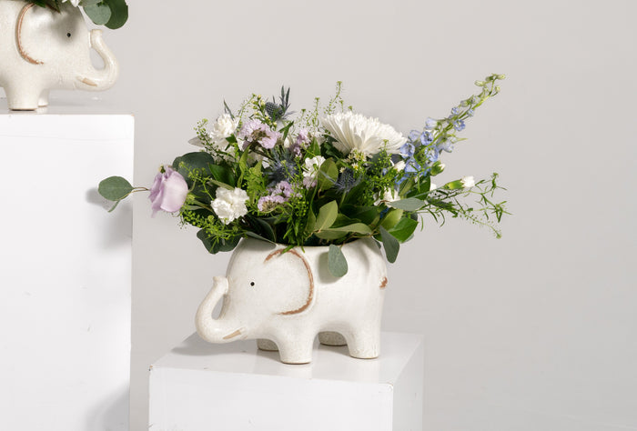 Blue Stompy Arrangement
