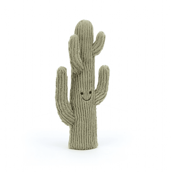 Jellycat - Amusable Desert Cactus_Stuffies_Floral Fixx Design Studio_The Floral Fixx