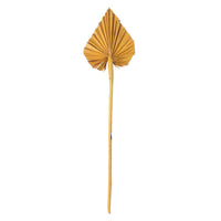 Metallic Gold Palm Spear_Dried flowers_Floral Fixx Design Studio_The Floral Fixx