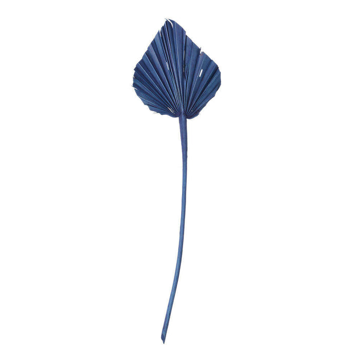 Midnigth Blue Palm Spear_Dried flowers_Floral Fixx Design Studio_The Floral Fixx
