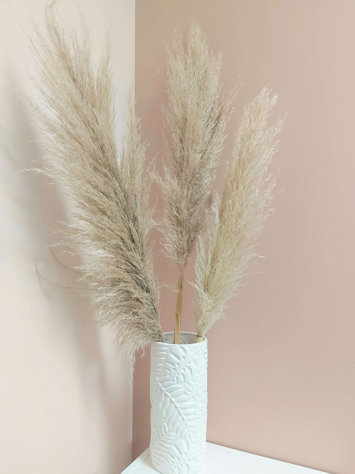 Natural Pampas Grass_Dried_The Floral Fixx_The Floral Fixx