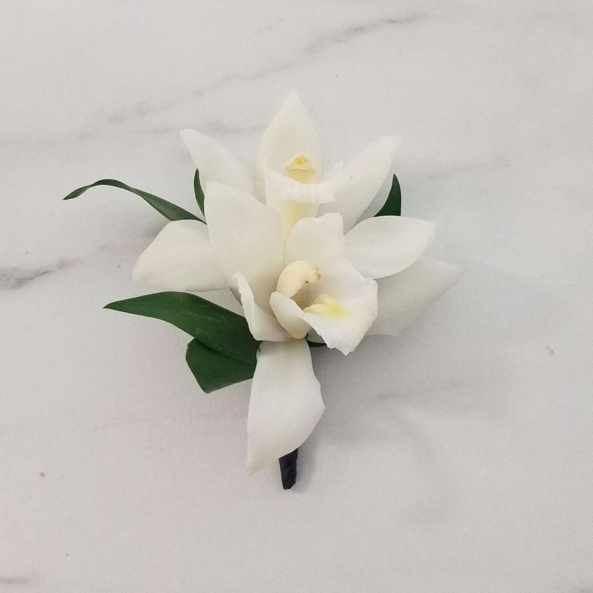 Orchids Corsage/Boutonniere_Boutonniere / White / No Glam_Flower Arrangement_The Floral Fixx_The Floral Fixx