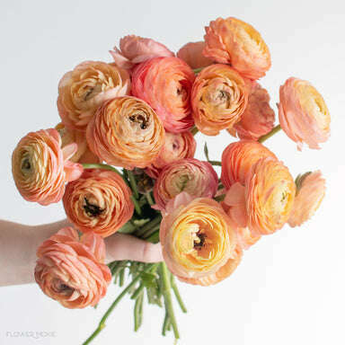Ranunculus Corsage/Boutonniere_Small [1 Bloom] / Peach / No Glam_Flower Arrangement_The Floral Fixx_The Floral Fixx